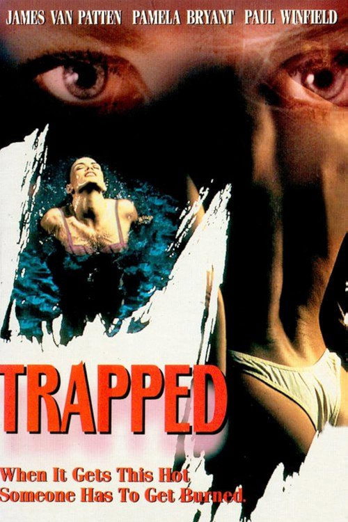 В западне постер