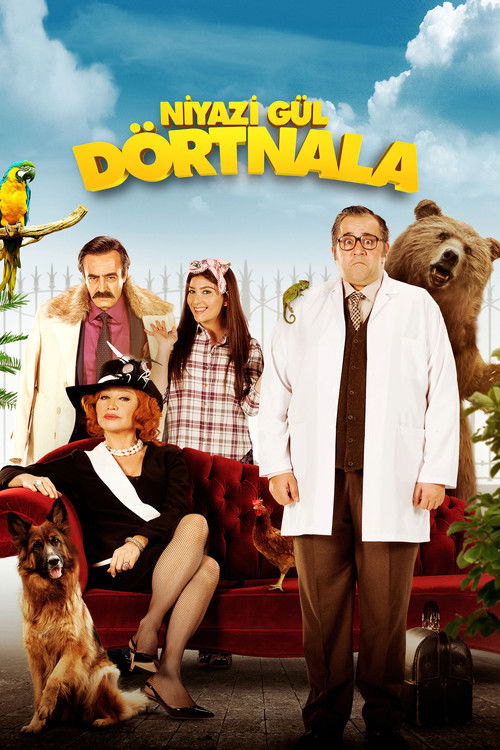 Niyazi Gül Dörtnala постер