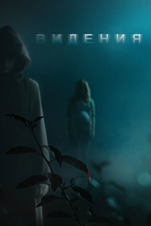 Видения постер
