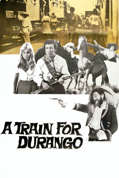 A Train for Durango постер