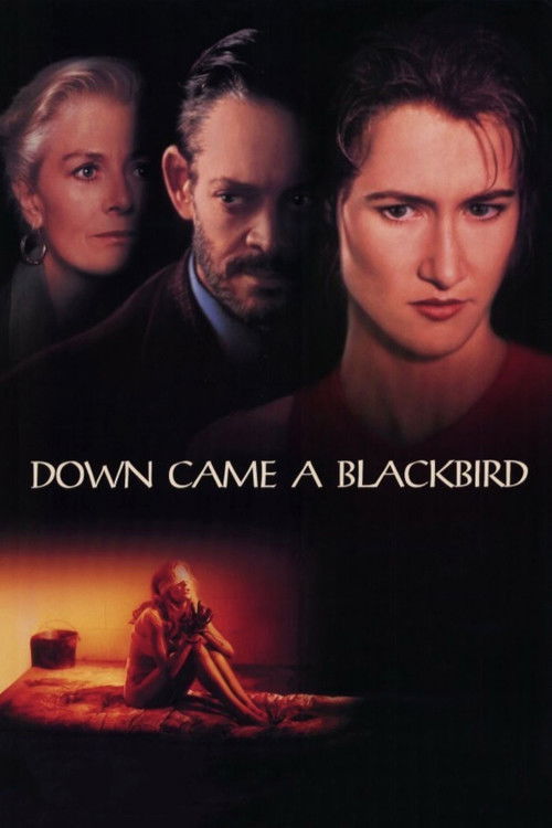 Down Came a Blackbird постер