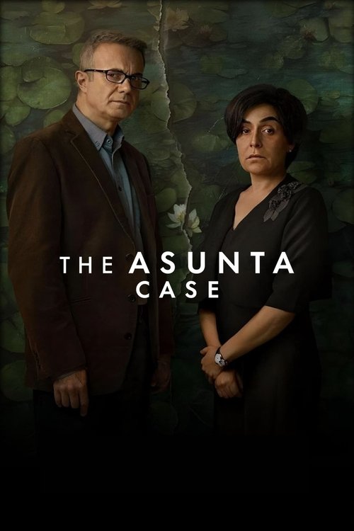 The Asunta Case постер