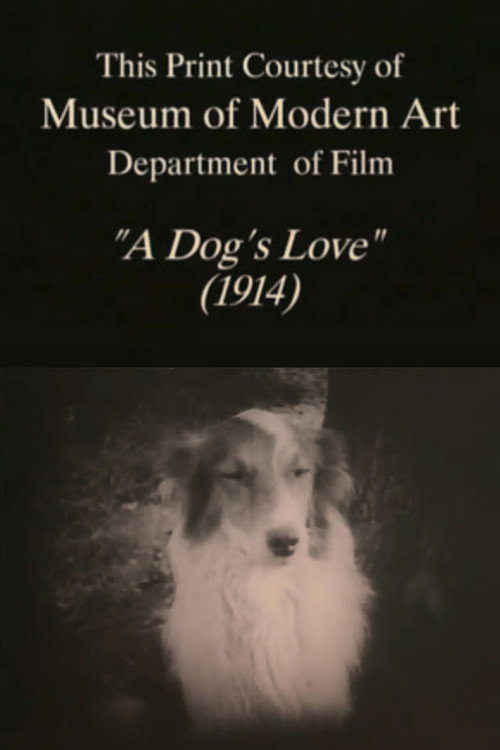 A Dog's Love постер