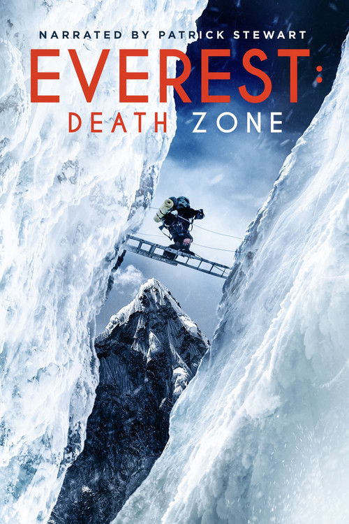 Death Zone: Cleaning Mount Everest постер