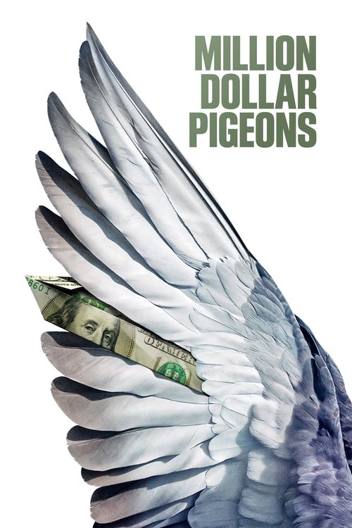 Million Dollar Pigeons постер