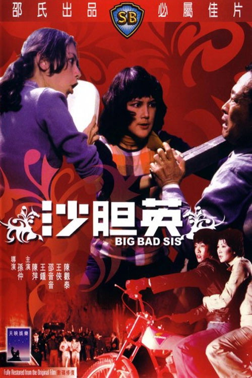 沙膽英 постер