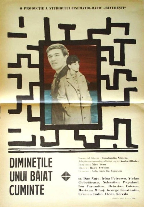 Diminețile unui băiat cuminte постер