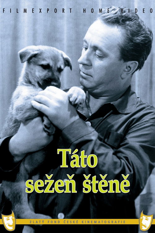 Táto sežeň štěně постер