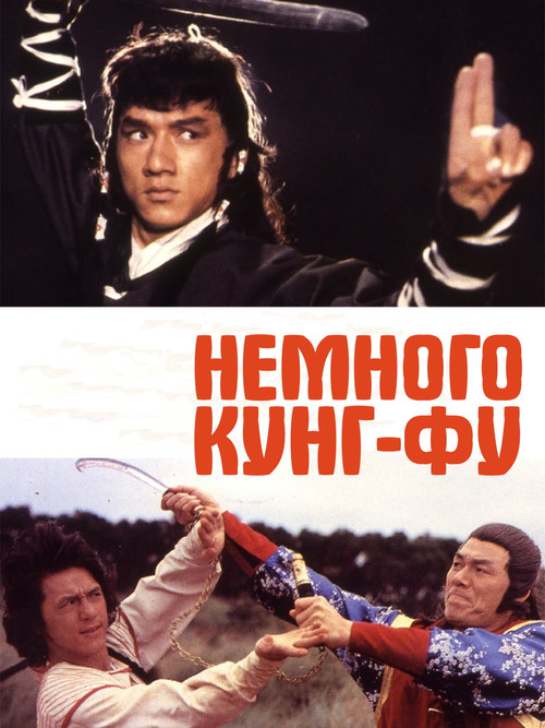Немного Кунг-Фу постер