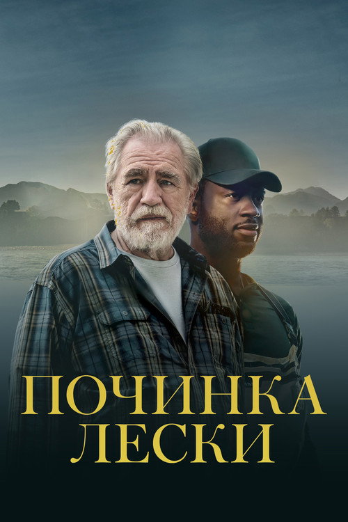 Починка лески постер