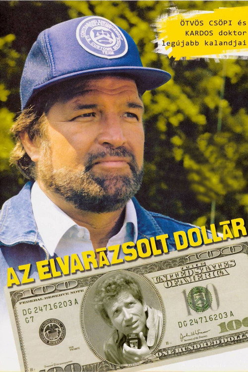 The Enchanted Dollar постер