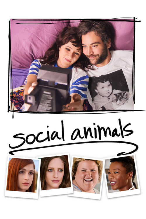 Social Animals постер
