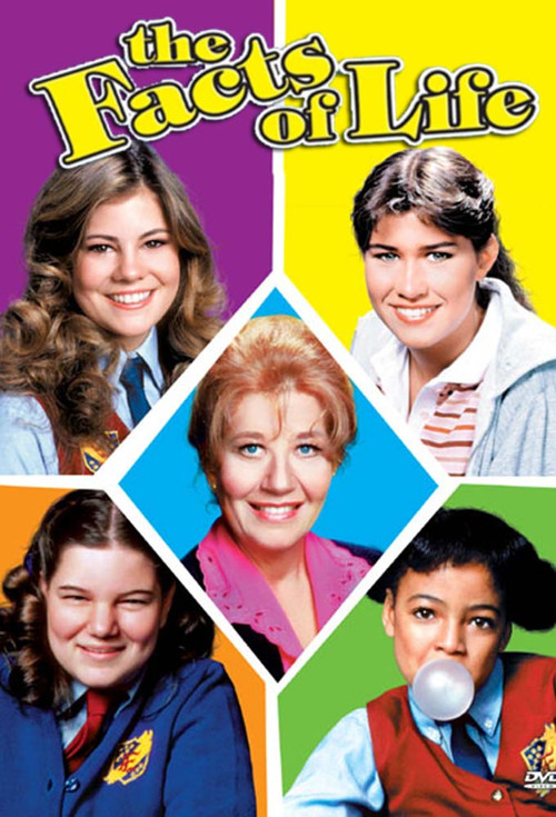 The Facts of Life постер