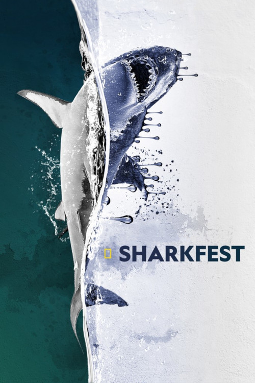 Sharkfest постер