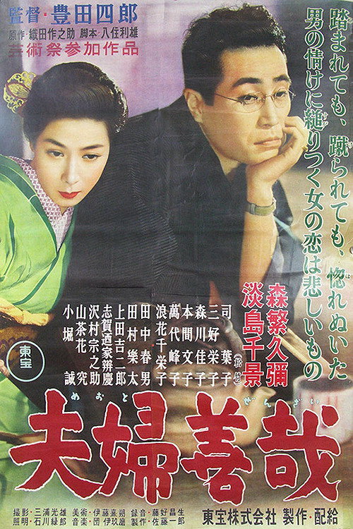 Marital Relations постер