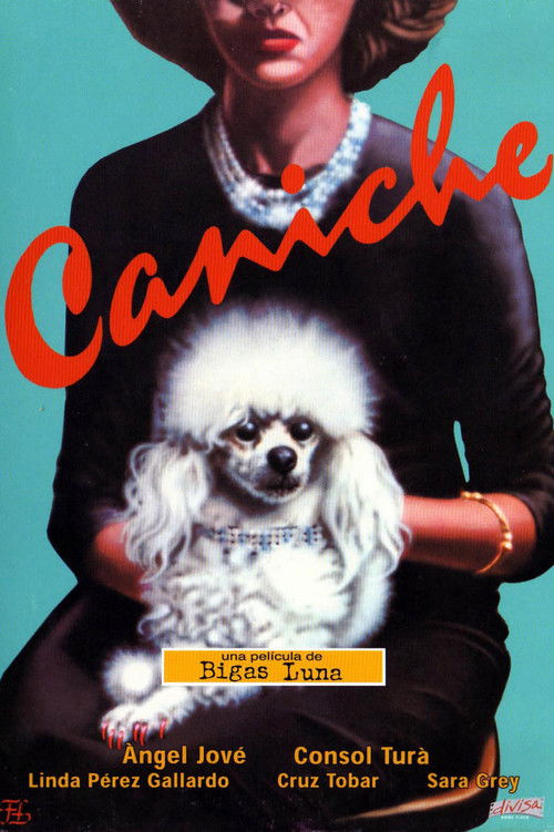 Caniche постер