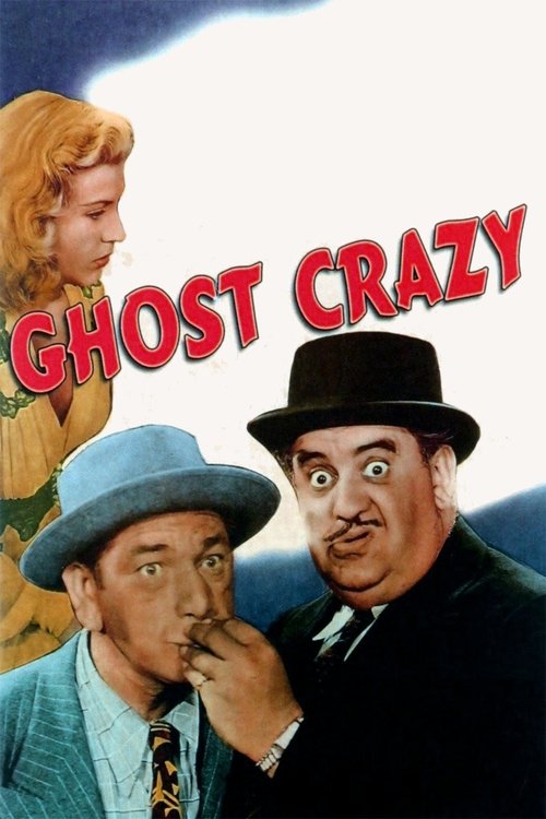 Crazy Knights постер