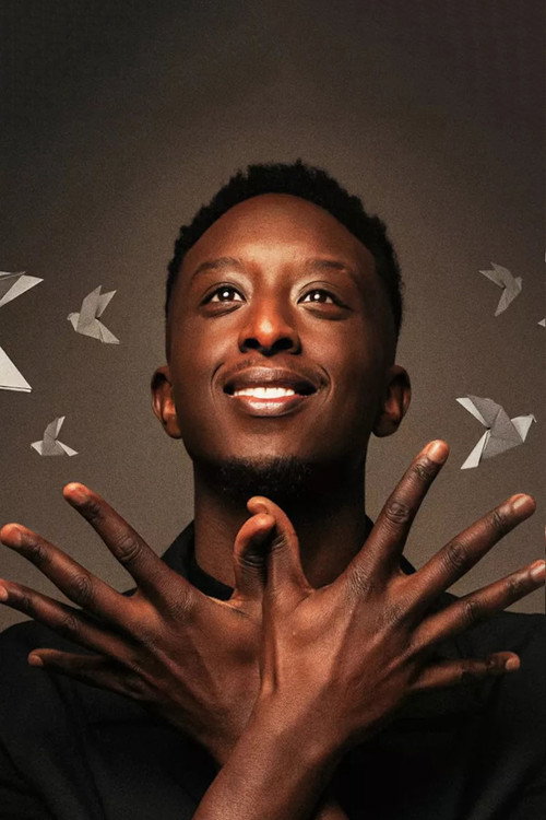 Ahmed Sylla - Origami постер
