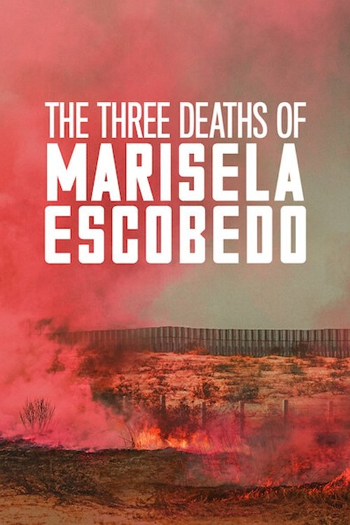 Las tres muertes de Marisela Escobedo постер