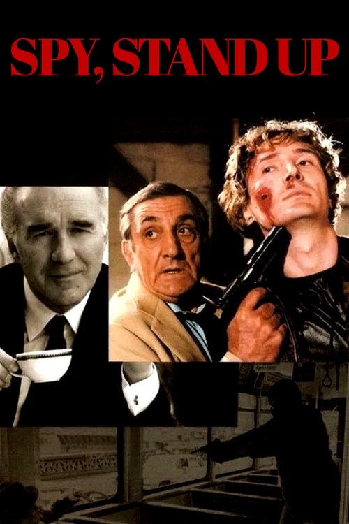 Шпион, встань постер