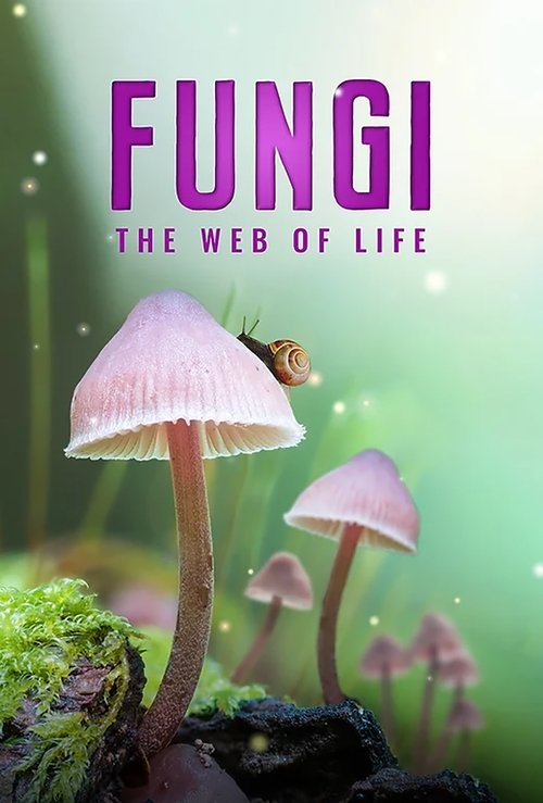 Fungi: The Web of Life постер