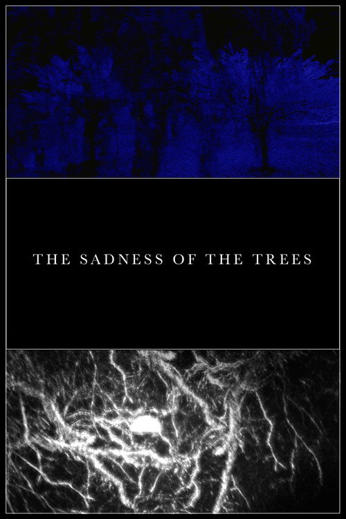 The Sadness of the Trees постер