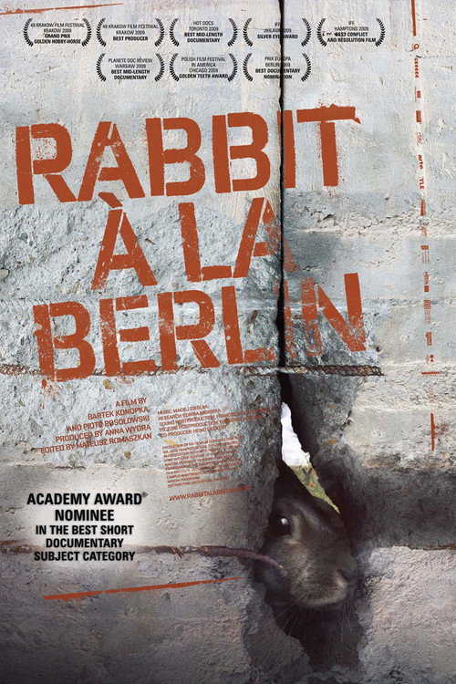 Rabbit à la Berlin постер