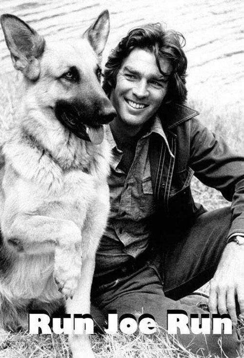 Run, Joe, Run постер