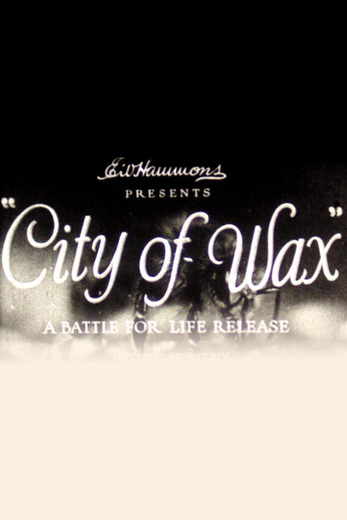 City of Wax постер