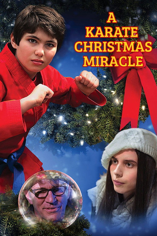 A Karate Christmas Miracle постер