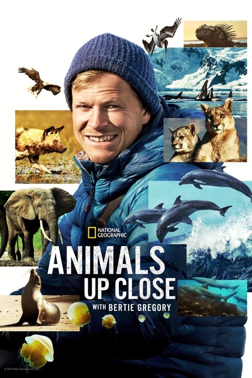 Animals Up Close with Bertie Gregory постер