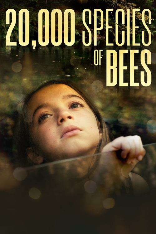20,000 Species of Bees постер