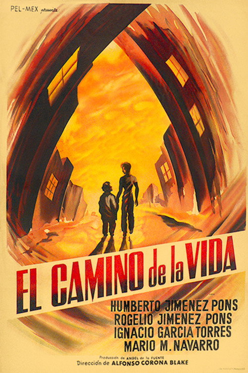 El Camino de la Vida постер