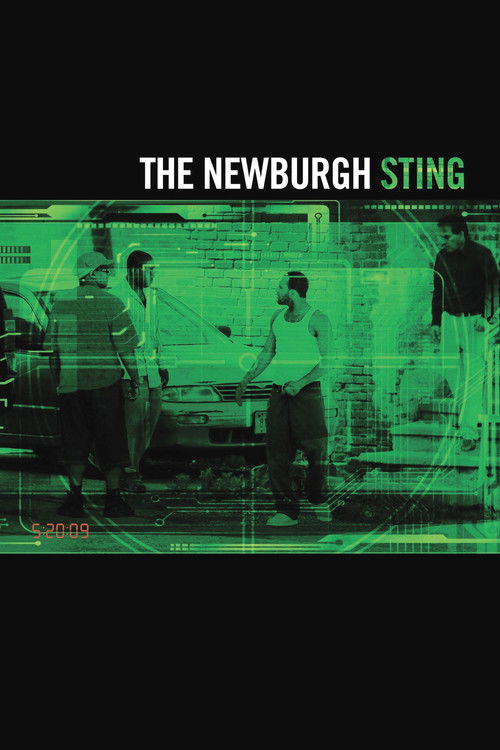 The Newburgh Sting постер