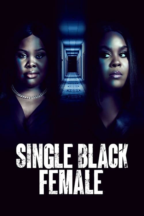 Single Black Female постер