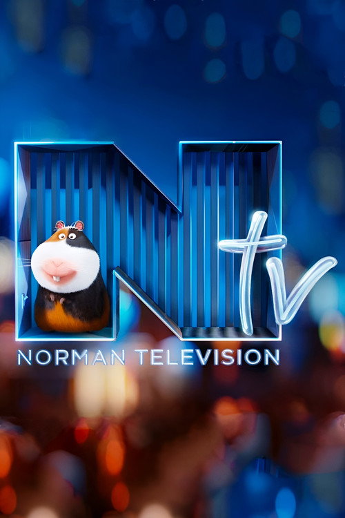 Norman Television постер