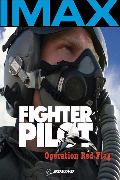Fighter Pilot: Operation Red Flag постер