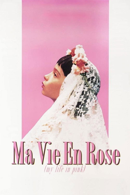 My Life in Pink постер