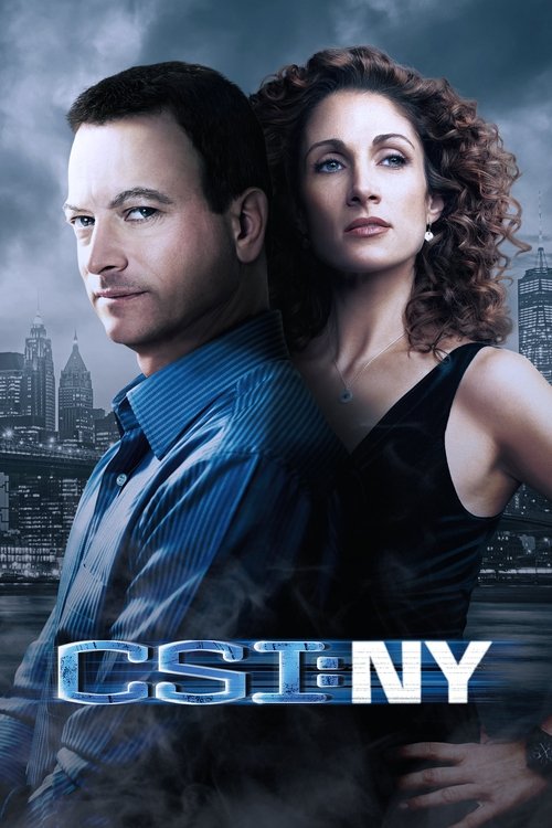 CSI: Место преступления Нью-Йорк постер