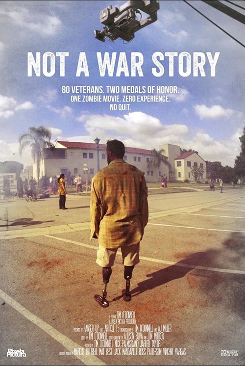 Not a War Story постер