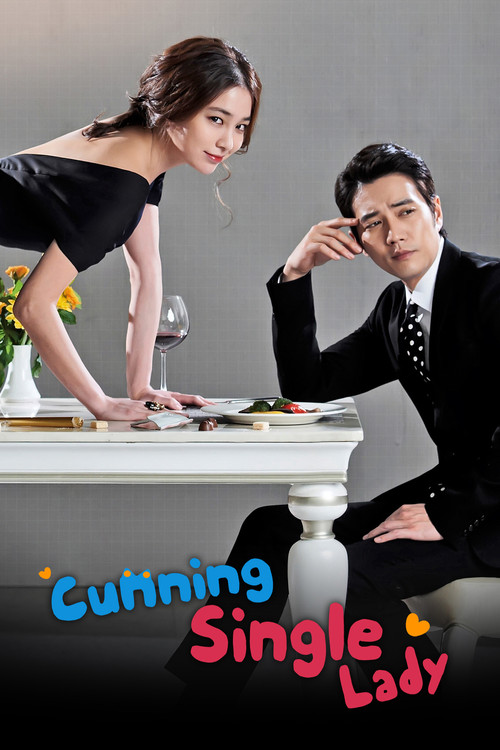 Cunning Single Lady постер