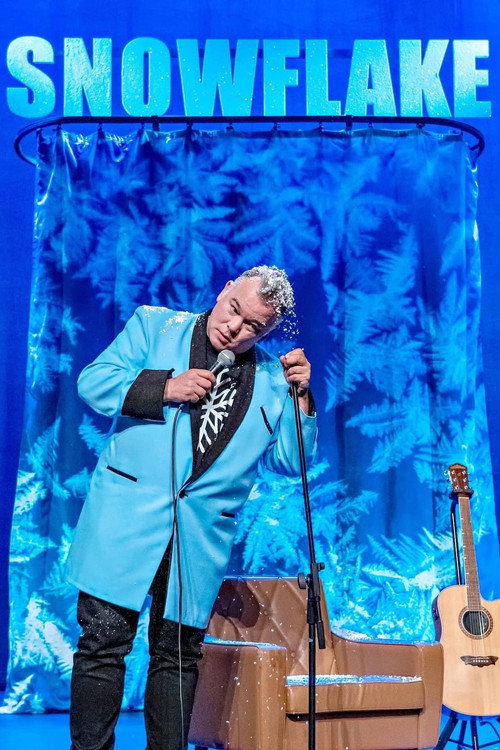 Stewart Lee: Snowflake постер