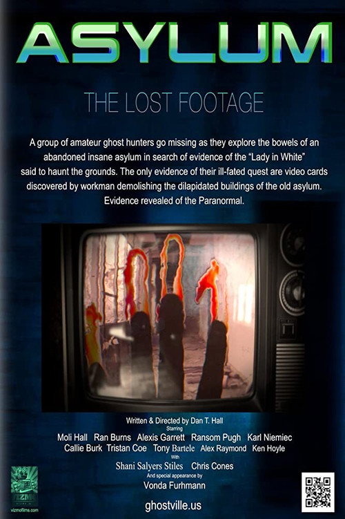 Asylum: the Lost Footage постер