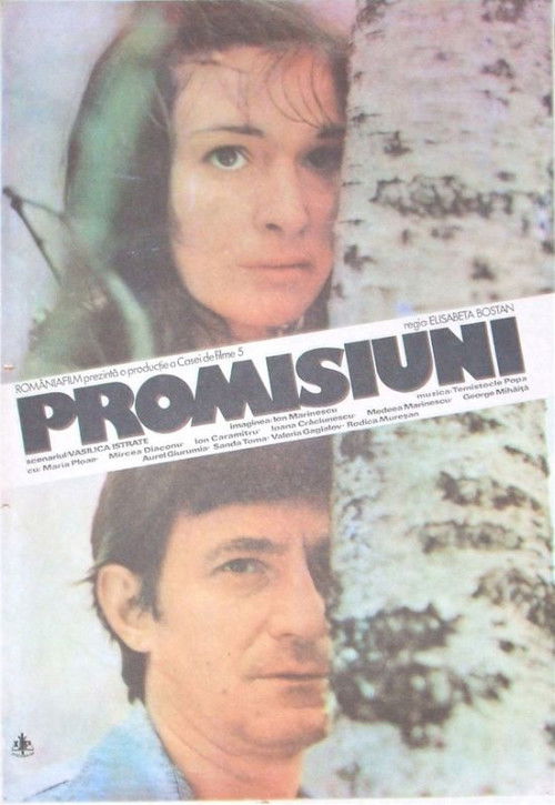 Promisiuni постер