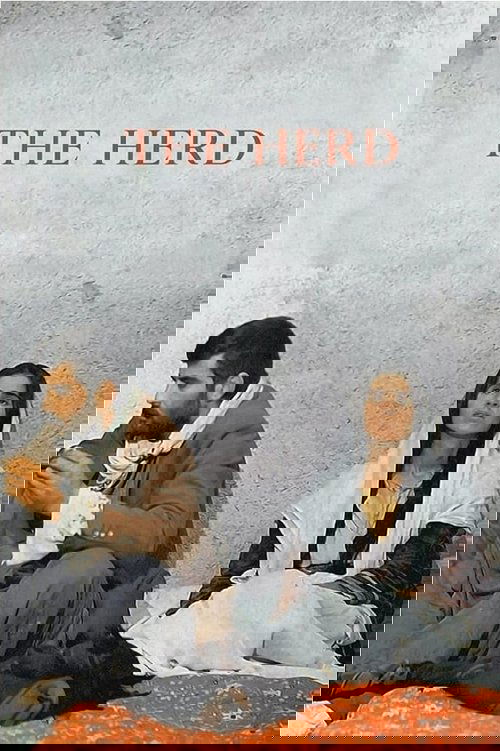 Стадо постер