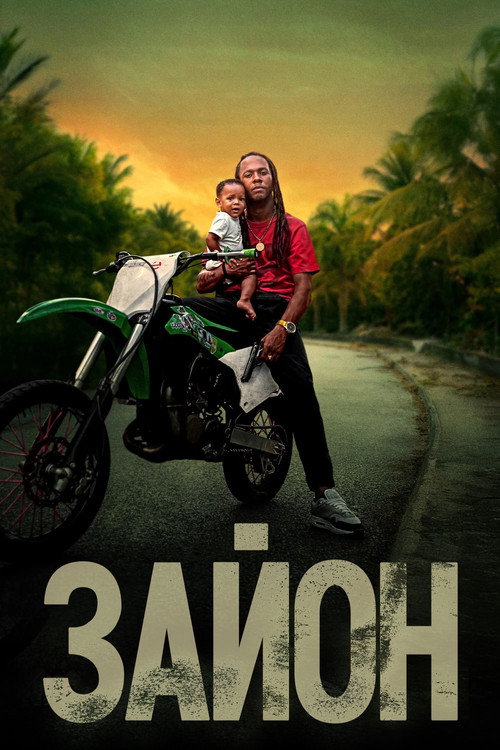 Зайон постер