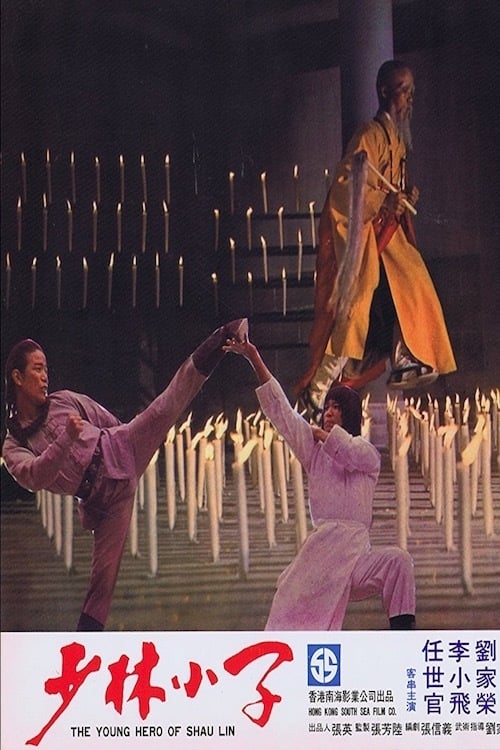 Young Hero of Shaolin постер