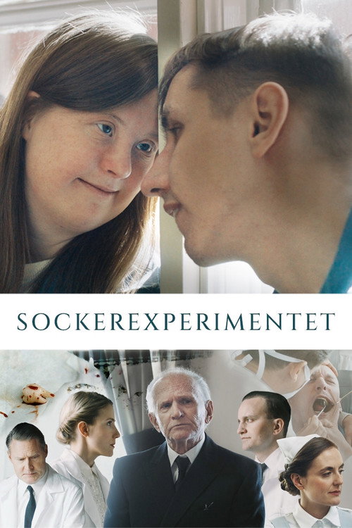 Sockerexperimentet постер
