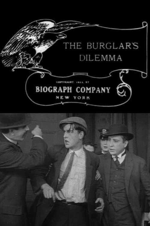 The Burglar’s Dilemma постер