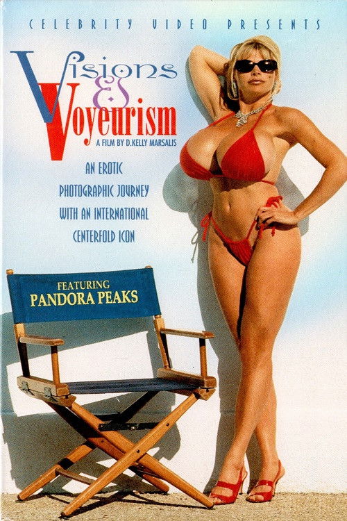 Visions and Voyeurism постер